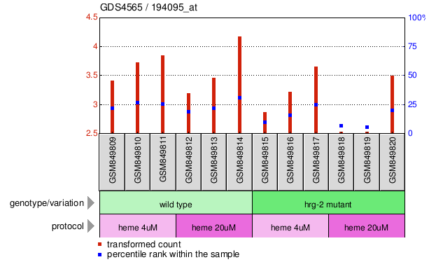 Gene Expression Profile