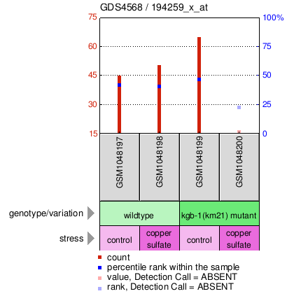 Gene Expression Profile