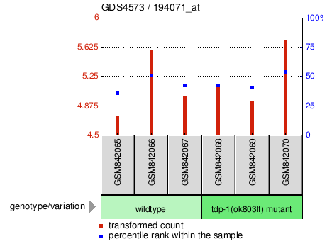 Gene Expression Profile