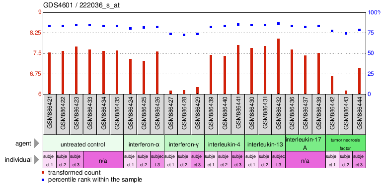 Gene Expression Profile