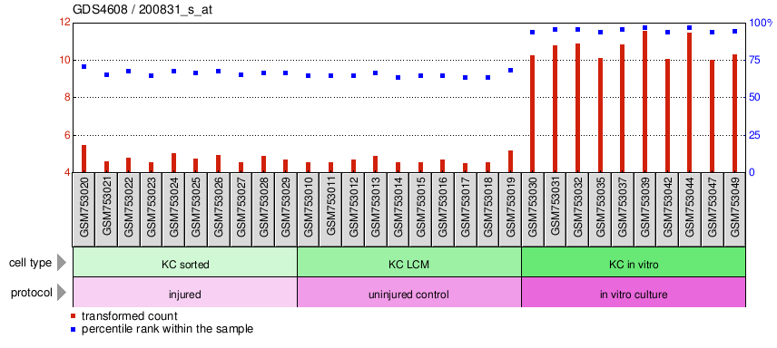 Gene Expression Profile