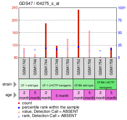 Gene Expression Profile