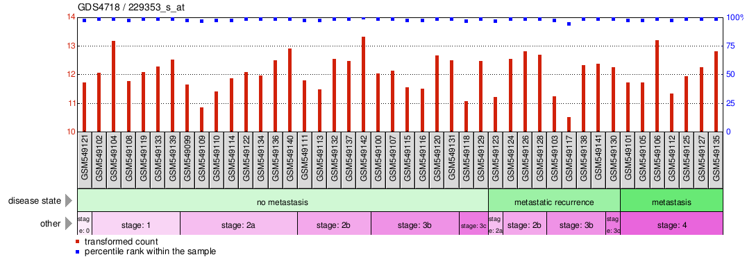 Gene Expression Profile