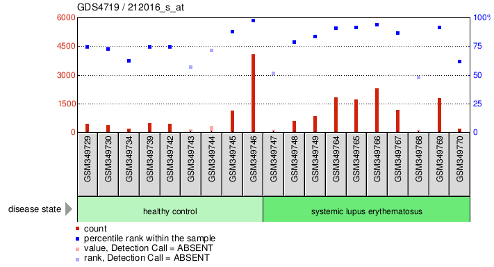 Gene Expression Profile