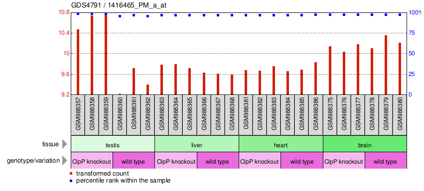 Gene Expression Profile