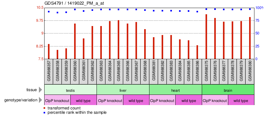 Gene Expression Profile