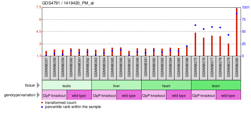 Gene Expression Profile