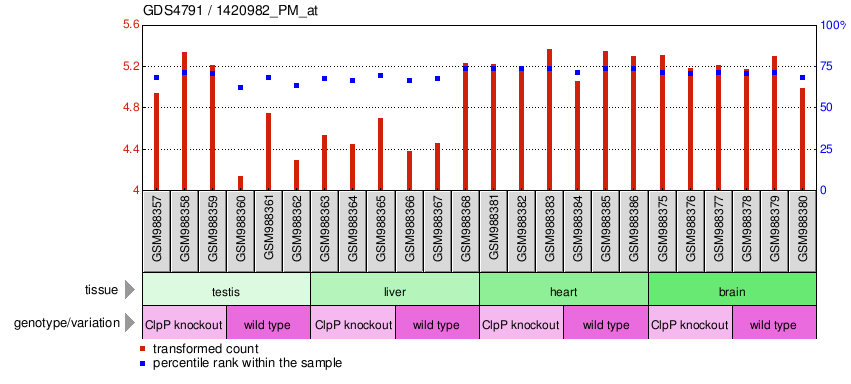 Gene Expression Profile