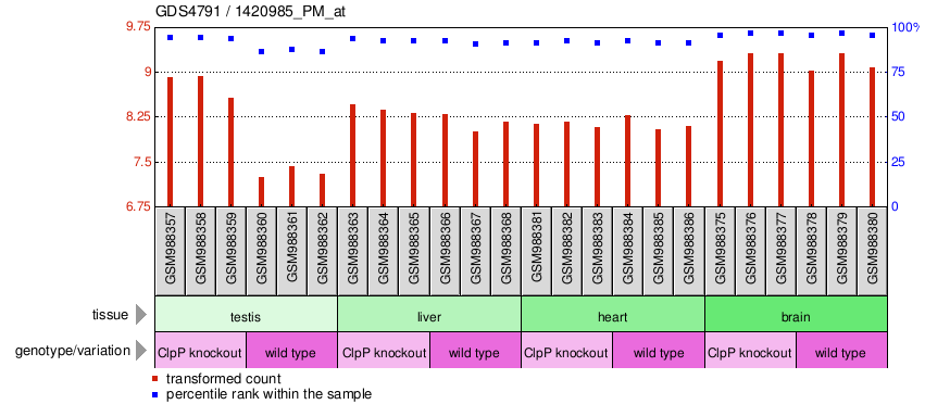 Gene Expression Profile