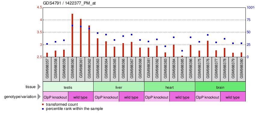 Gene Expression Profile