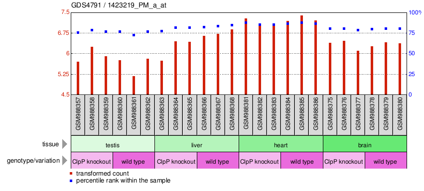 Gene Expression Profile