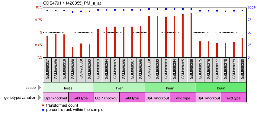 Gene Expression Profile