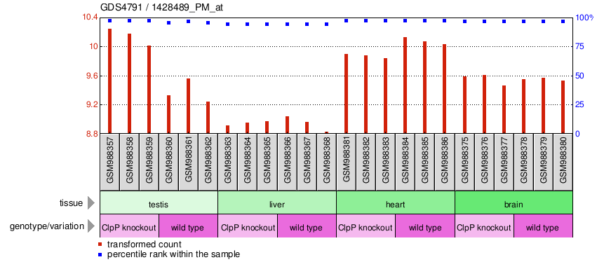 Gene Expression Profile