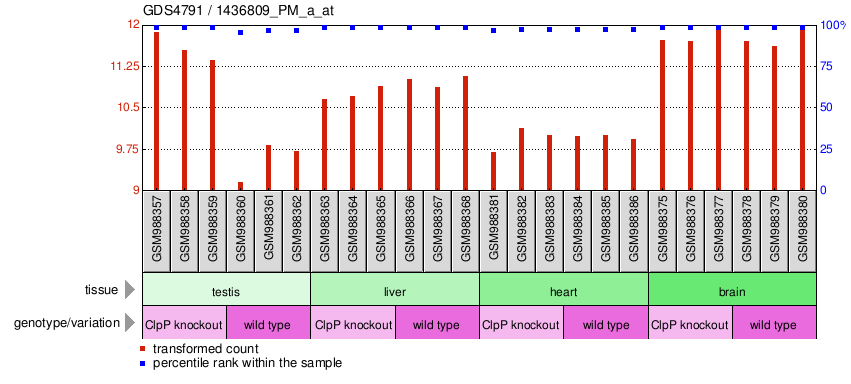 Gene Expression Profile