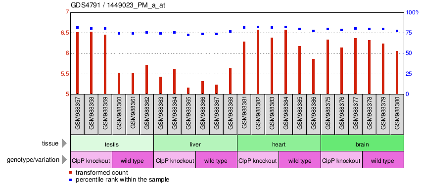 Gene Expression Profile