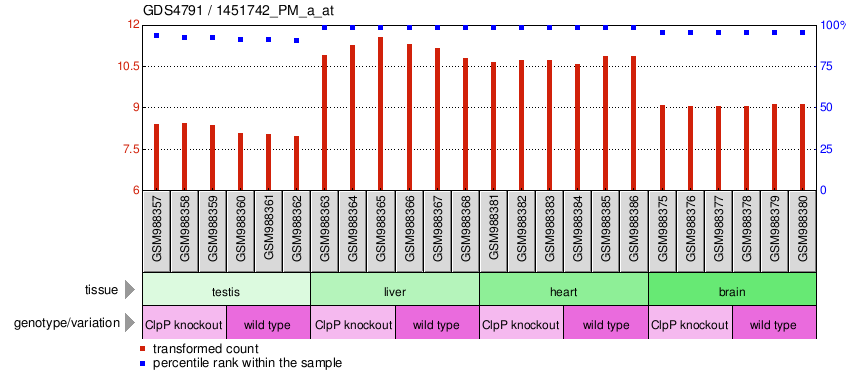 Gene Expression Profile