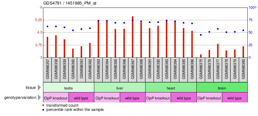 Gene Expression Profile