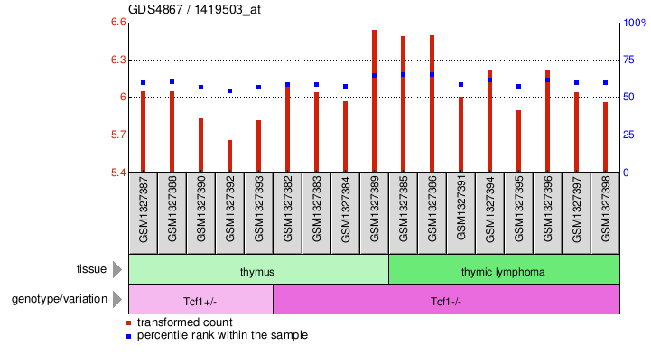 Gene Expression Profile