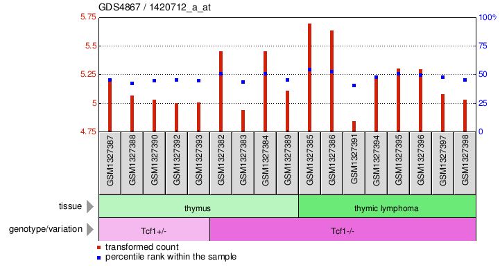 Gene Expression Profile