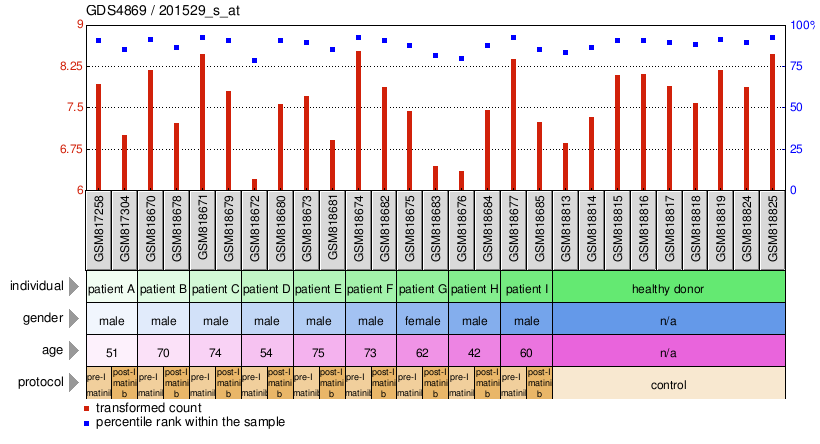 Gene Expression Profile