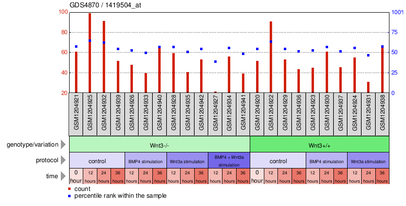 Gene Expression Profile