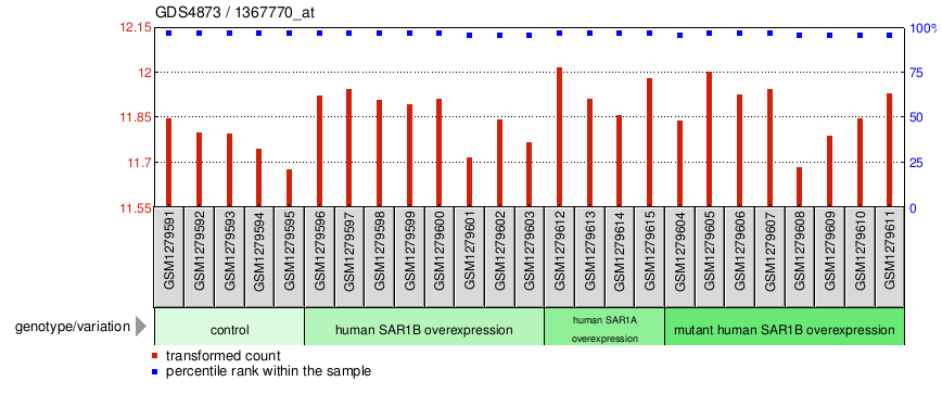 Gene Expression Profile