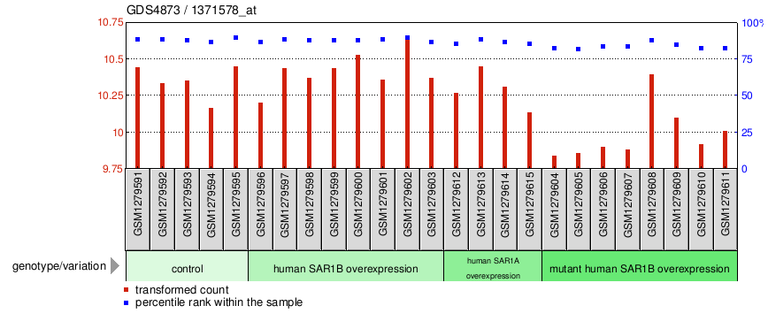 Gene Expression Profile