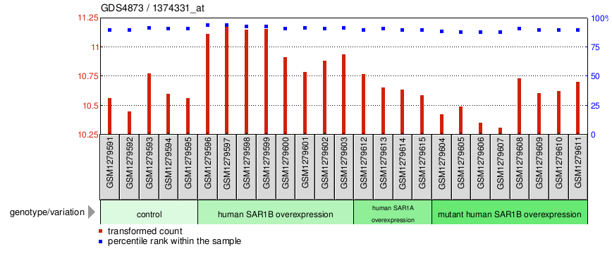 Gene Expression Profile