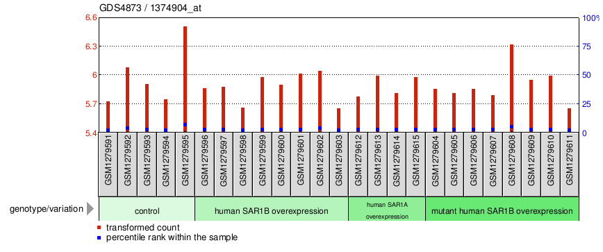 Gene Expression Profile