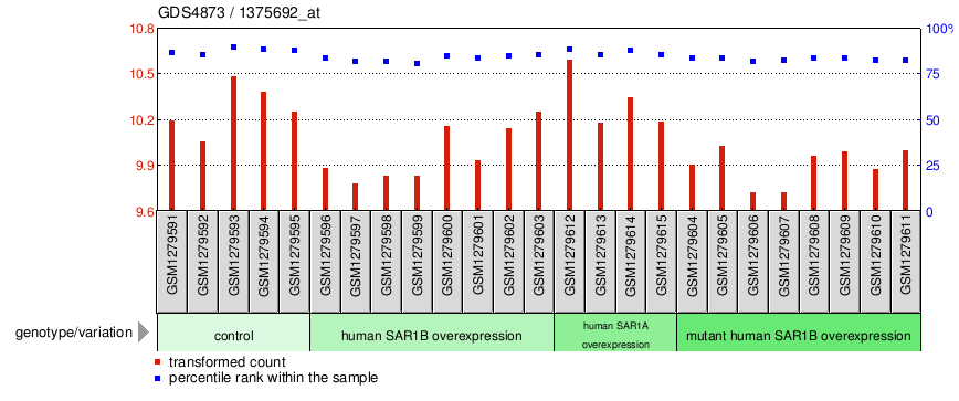 Gene Expression Profile