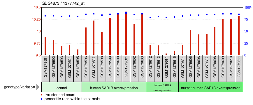 Gene Expression Profile