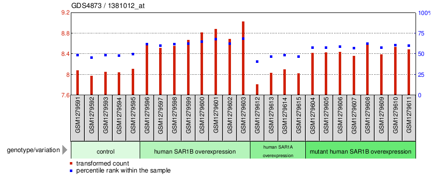 Gene Expression Profile