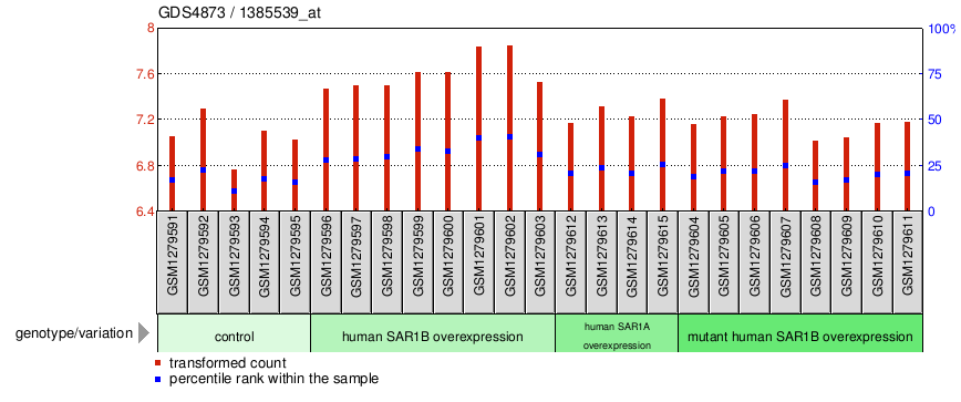 Gene Expression Profile