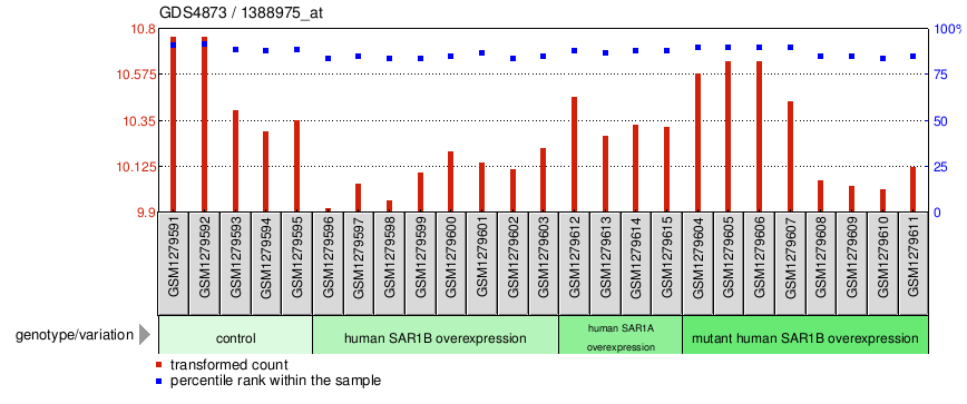 Gene Expression Profile