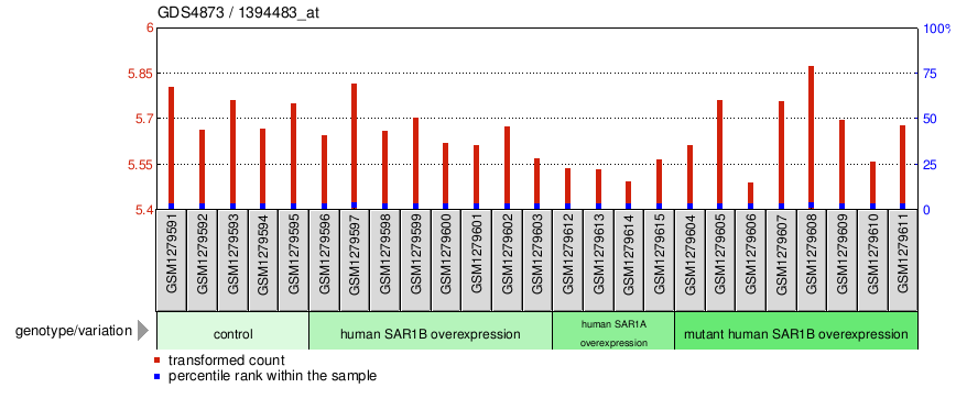 Gene Expression Profile