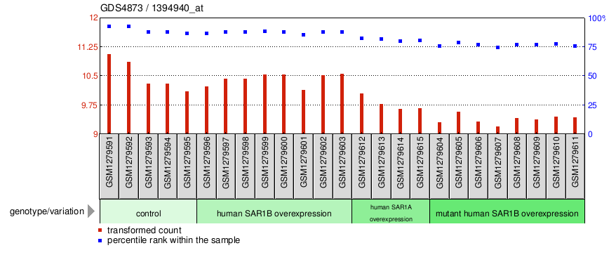 Gene Expression Profile