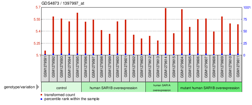 Gene Expression Profile