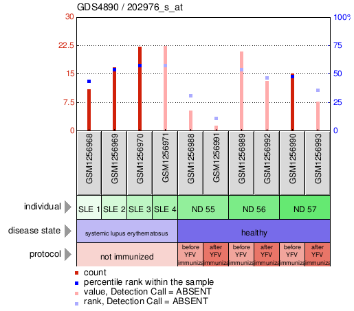 Gene Expression Profile