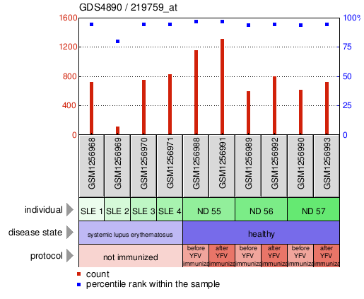 Gene Expression Profile