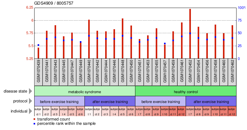 Gene Expression Profile