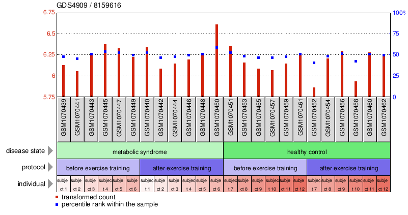 Gene Expression Profile