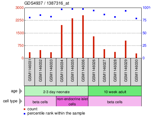 Gene Expression Profile