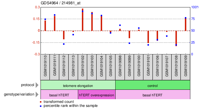 Gene Expression Profile