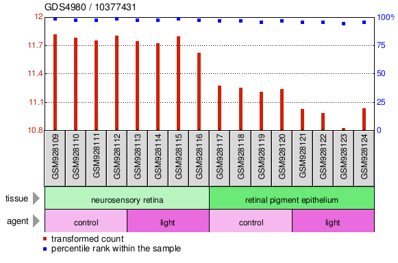 Gene Expression Profile