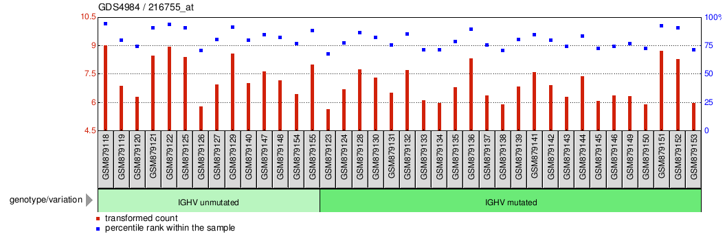 Gene Expression Profile