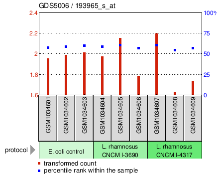 Gene Expression Profile