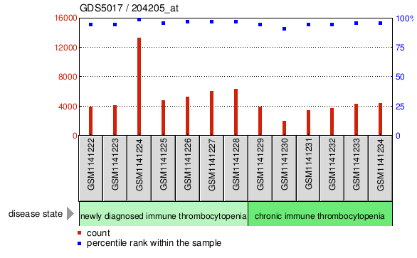 Gene Expression Profile