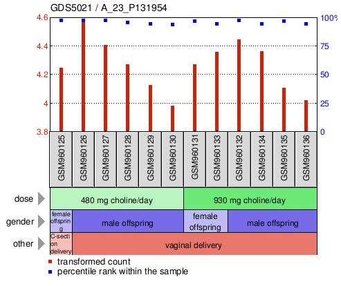 Gene Expression Profile