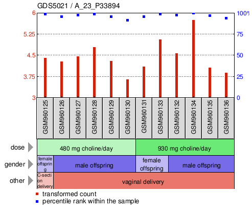 Gene Expression Profile