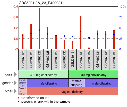 Gene Expression Profile